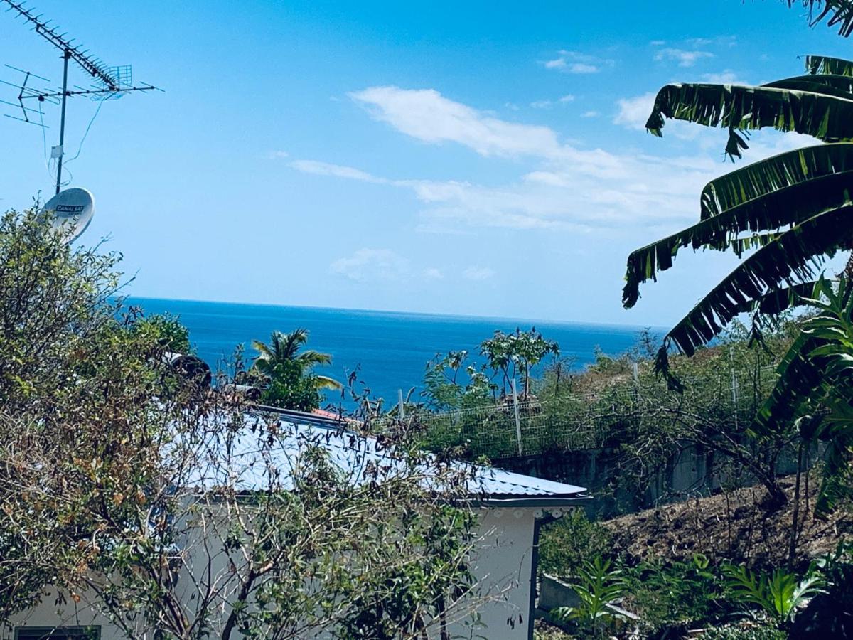 Bungalow Les Cerisiers Bouillante Bagian luar foto